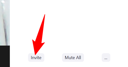 Select "Invite" in the "Participants" panel.