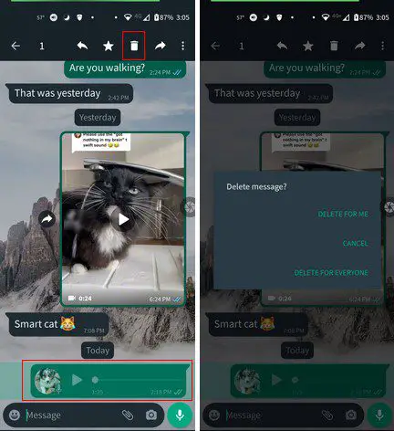 Как удалить аудио в ватсапе. WHATSAPP Audio message.