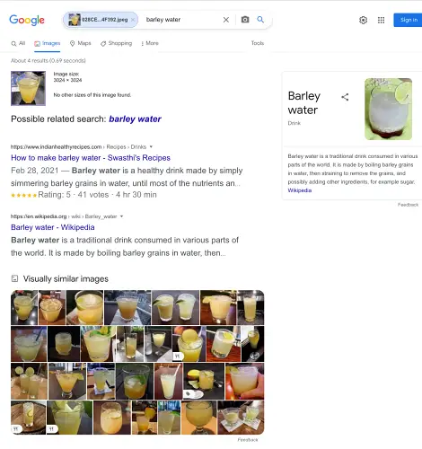 Search results in Google Images Search on iPhone