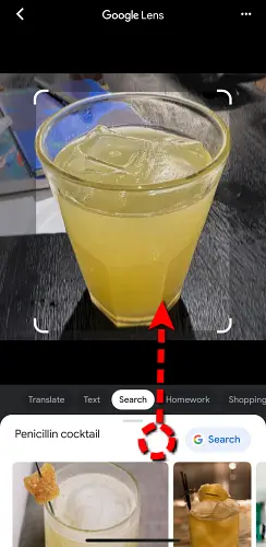 Swipe up the search results to view more similar images.