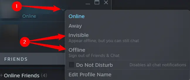 Clique na divisa (seta sem cauda) e clique em “Offline” ou “Invisível”. 