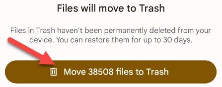 Tap "Move Files to Trash" again.