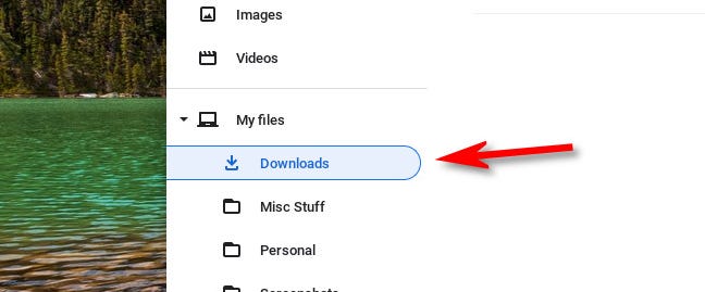 In the Chromebook Files app, select "Downloads" in the sidebar.