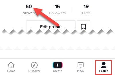 Tap "Following" on your profile.