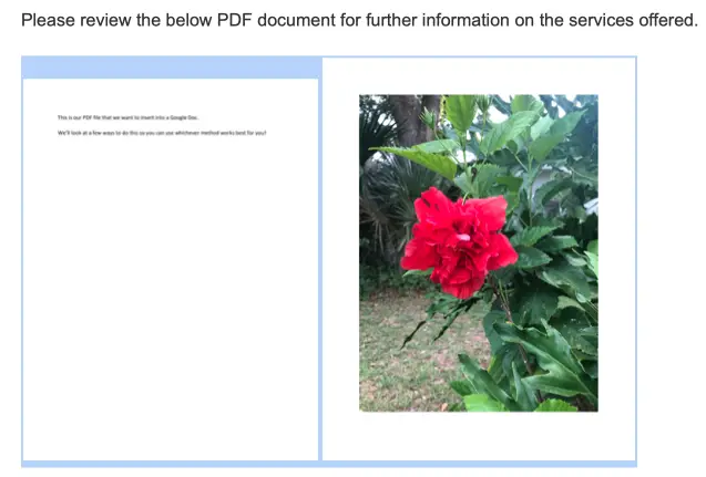 Images inserted in Google Docs