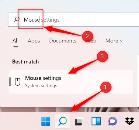 Search for Mouse in Windows.