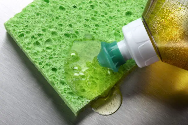 Dish soap squeezed out of a bottle and onto a sponge.