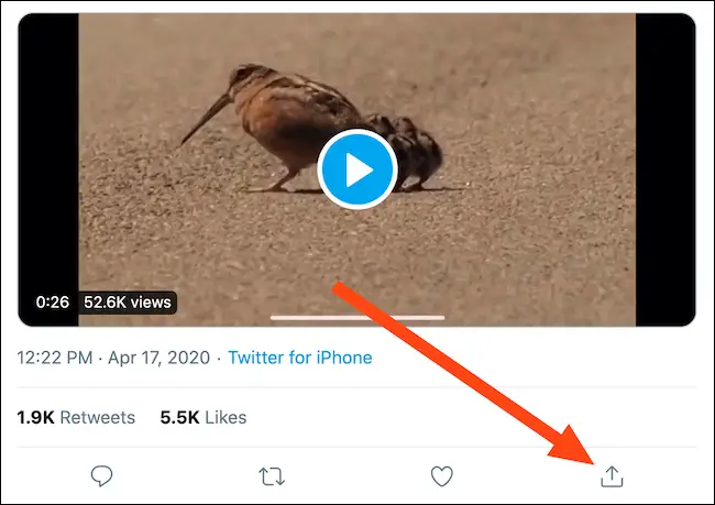 Locate a tweet with a video and then click the Share button