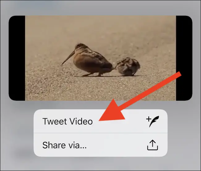 Select the "Tweet Video" button