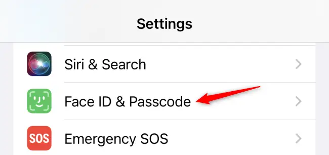 Tippen Sie auf „Face ID & Passcode“.