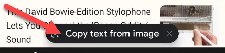 Selectați „Copiați textul din imagine”.