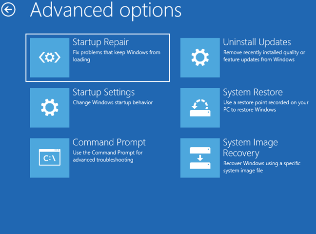 The Advanced Options available on Windows 10. 