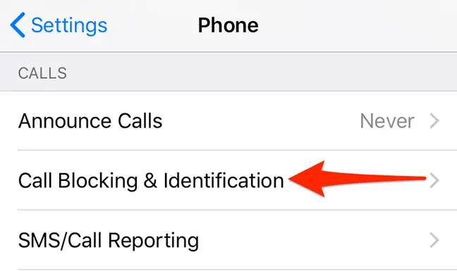 Tap "Call Blocking & Identification" in "Phone" settings on iPhone.