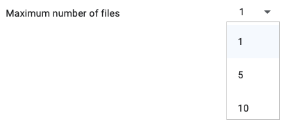 Number of file options for the upload question